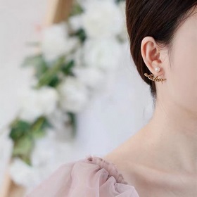 Оригинальные новые серьги-гвоздики DIOR с буквой DIOR, изготовлен