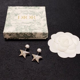 1880130 Dior Классическая модель, аналогичная модели многих знаме