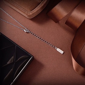 Новое серебряное колье от Ferragamo с уникальным дизайном индивид