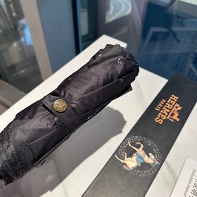 Hermès Представляем вам эксклюзивный трехсекционный автоматически