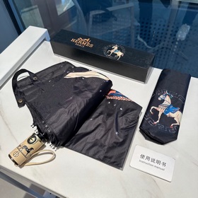 Hermès Представляем вам эксклюзивный трехсекционный автоматически