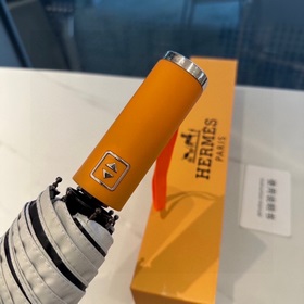 Hermès Представляем вам эксклюзивный трехсекционный автоматически