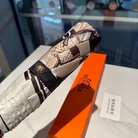 Hermès Представляем вам эксклюзивный трехсекционный автоматически