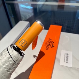 Hermès Представляем вам эксклюзивный трехсекционный автоматически