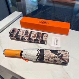 Hermès Представляем вам эксклюзивный трехсекционный автоматически