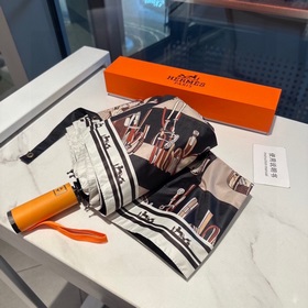Hermès Представляем вам эксклюзивный трехсекционный автоматически