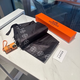 Hermès Представляем вам эксклюзивный трехсекционный автоматически