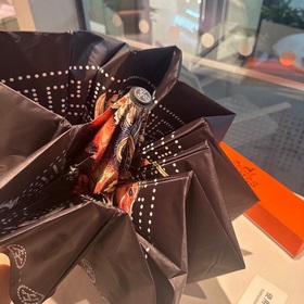 Hermès Представляем вам эксклюзивный трехсекционный автоматически