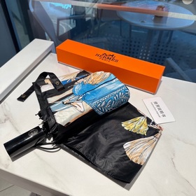 Hermès Представляем вам эксклюзивный трехсекционный автоматически