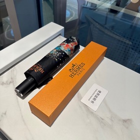 Hermès Представляем вам эксклюзивный трехсекционный автоматически