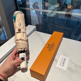 Hermès Представляем вам эксклюзивный трехсекционный автоматически