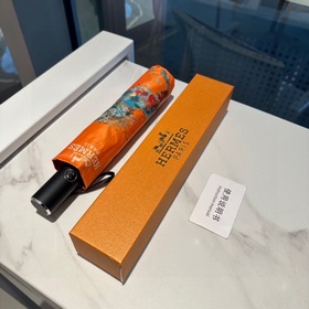 Hermès Представляем вам эксклюзивный трехсекционный автоматически
