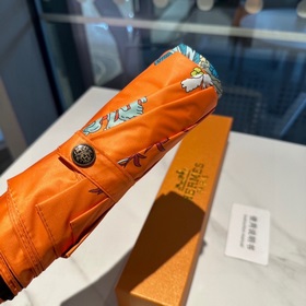 Hermès Представляем вам эксклюзивный трехсекционный автоматически