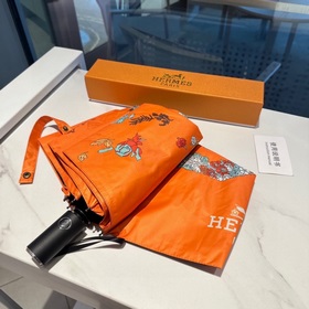 Hermès Представляем вам эксклюзивный трехсекционный автоматически