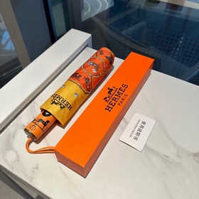 Hermès Представляем вам эксклюзивный трехсекционный автоматически