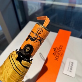Hermès Представляем вам эксклюзивный трехсекционный автоматически