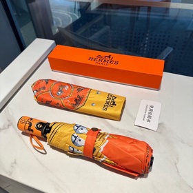 Hermès Представляем вам эксклюзивный трехсекционный автоматически
