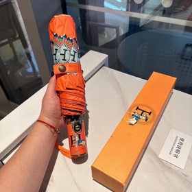 Hermès Представляем вам эксклюзивный трехсекционный автоматически