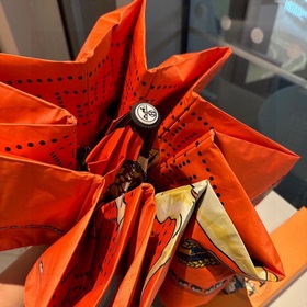 Hermès Представляем вам эксклюзивный трехсекционный автоматически