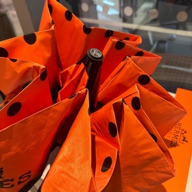 Hermès Представляем вам эксклюзивный трехсекционный автоматически