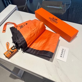 Hermès Представляем вам эксклюзивный трехсекционный автоматически