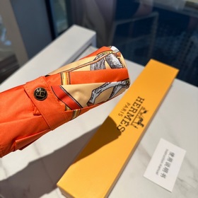 Hermès Представляем вам эксклюзивный трехсекционный автоматически