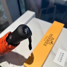 Hermès Представляем вам эксклюзивный трехсекционный автоматически