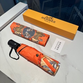 Hermès Представляем вам эксклюзивный трехсекционный автоматически