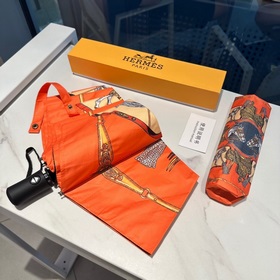 Hermès Представляем вам эксклюзивный трехсекционный автоматически