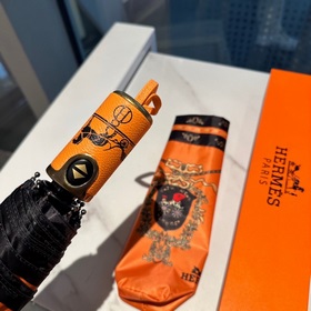 Hermès Представляем вам эксклюзивный трехсекционный автоматически