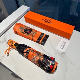 Hermès Представляем вам эксклюзивный трехсекционный автоматически
