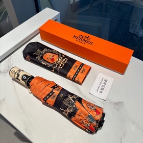 Hermès Представляем вам эксклюзивный трехсекционный автоматически