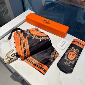 Hermès Представляем вам эксклюзивный трехсекционный автоматически