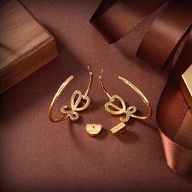 LOEWE Серьги-гвоздики Классический дизайн с логотипом LOEWE Anagr