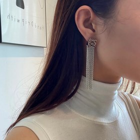 1880150  [LOEWE новейшая модель серебряные длинные серьги с бахр