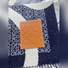 Новая модель от Loewe： шерстяной плед-шаль двухцветного цвета «ха