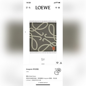 Новейшая модель 2023 года от Loewe： шерстяной плед-шаль в двух цв