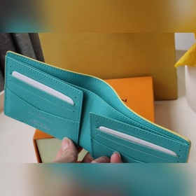Короткий чехол M82005 изготовлен из ткани с покрытием Monogram Pl