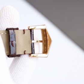 Новая модель с полным корпусом из кирпича от Patek Philippe, попу