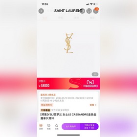 YSL Saint Laurent буквальные серьгиз оригинальной латуни. Компани