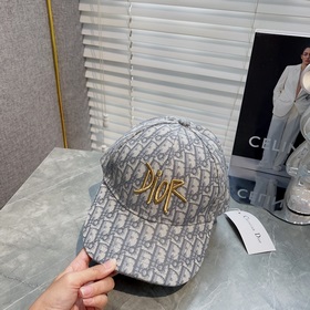 DIOR Диор, модель из фирменного магазина, новая модель с лаконичн