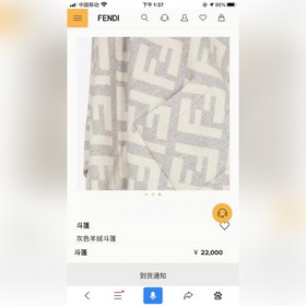 Ограниченная серия плащей с капюшоном от Fendi. Этот плащ FF явля
