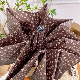Louis Vuitton Новинка летнего сезона в фирменном магазине. Полнос