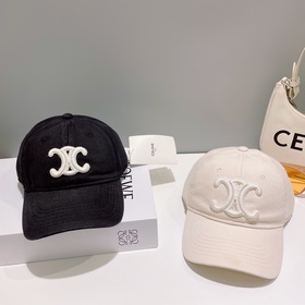 В комплекте с пылезащитным чехлом 【CELINE Селин】 Новая модель бей