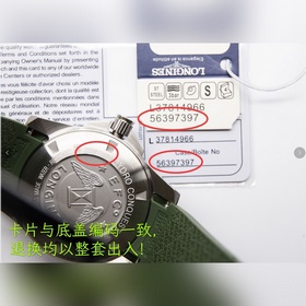 Longines Conquest, покоритель вод, слава пришла. Разрезая волны, 
