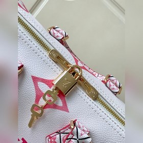 【Снимки, сделанные Haichuang Wai Dan】 SEEDY BANDOULIèRE 25 Сумка 