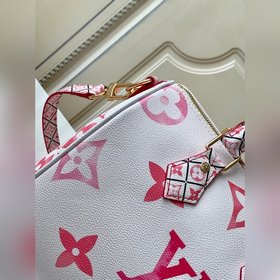 【Снимки, сделанные Haichuang Wai Dan】 SEEDY BANDOULIèRE 25 Сумка 