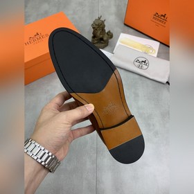 Вода окрасила говядину [Hermès] Hermès представляет новую модель