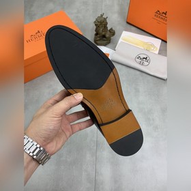 Вода окрасила говядину [Hermès] Hermès представляет новую модель