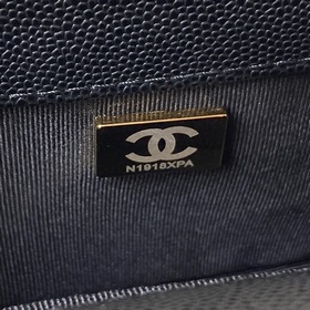 Не удалось запечатлеть всю его красоту — это моя вина. Chanel Leb